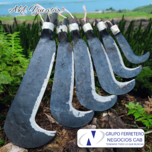 Coas Derecha Estrella 🌟